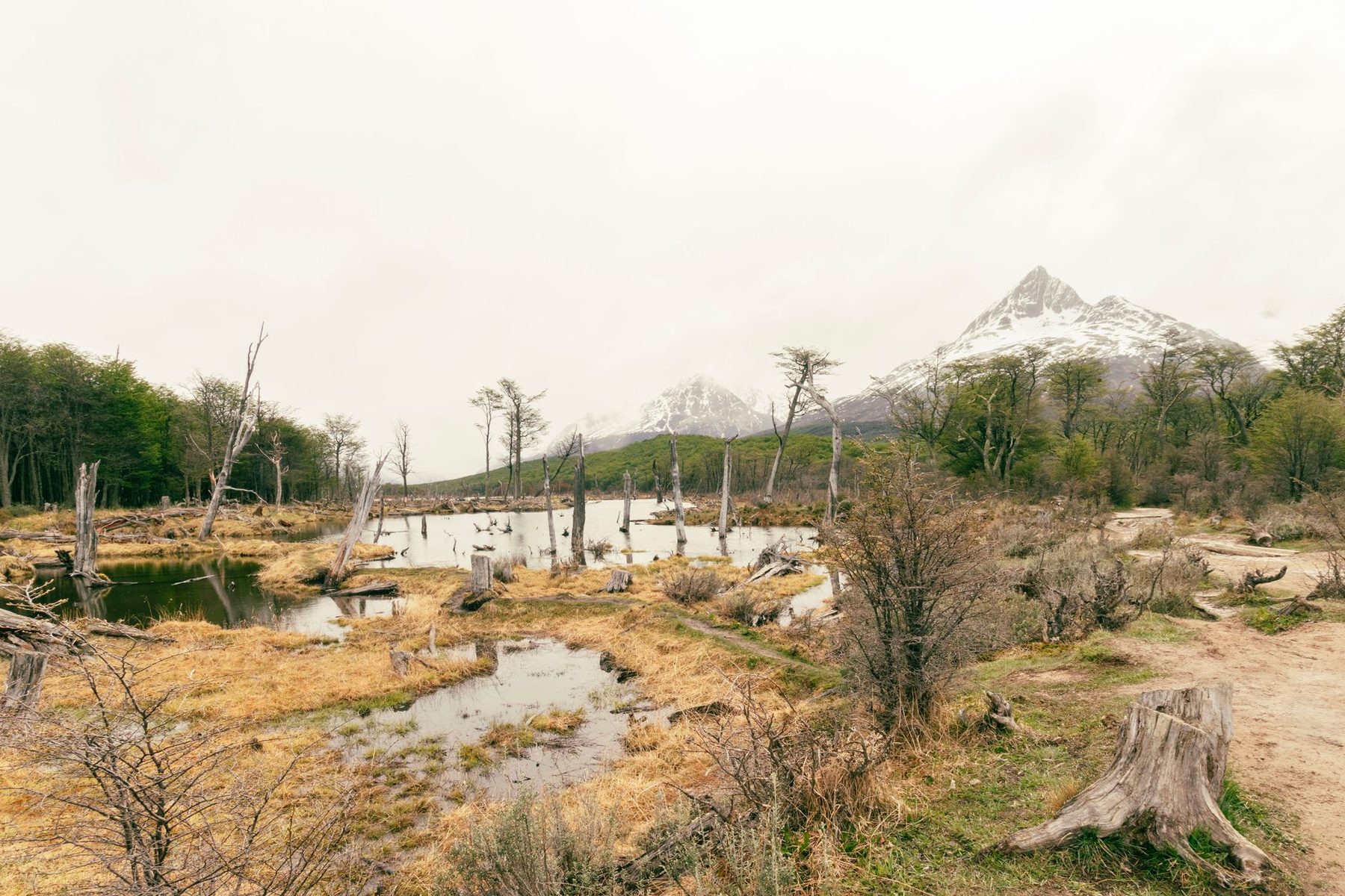 Ley Tierra del Fuego — Comunas de Porvenir y Primavera, provincia de Tierra del Fuego